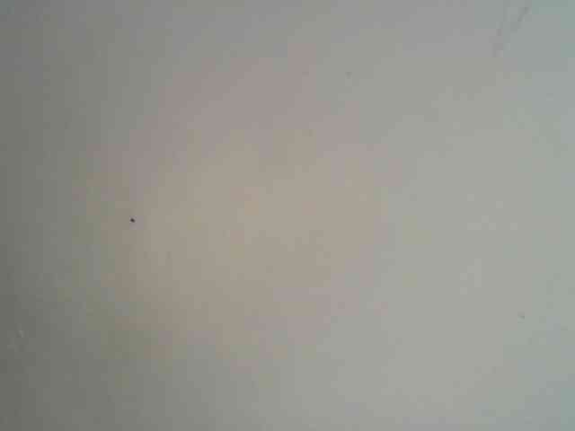 lamensha webcam