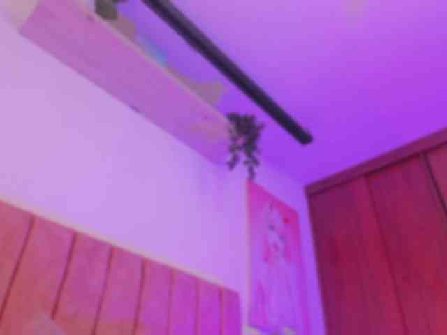 maraparadise webcam