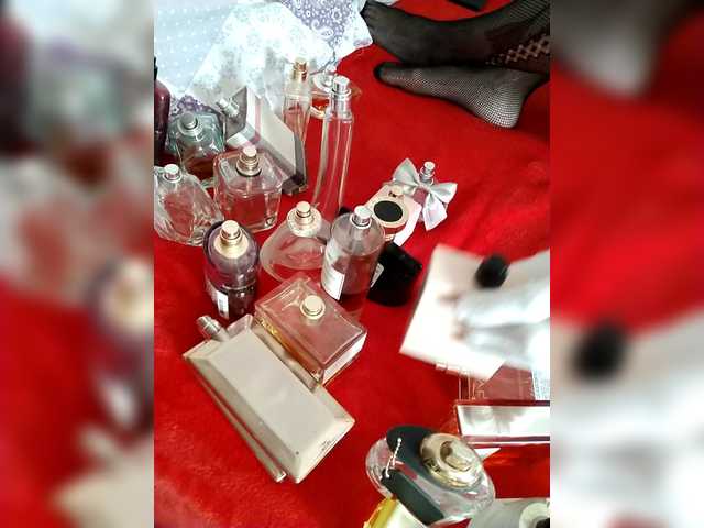 VasilisaGold's BongaCams show and profile