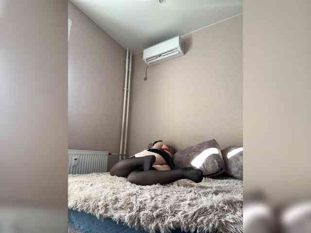 Gojstik1 webcam