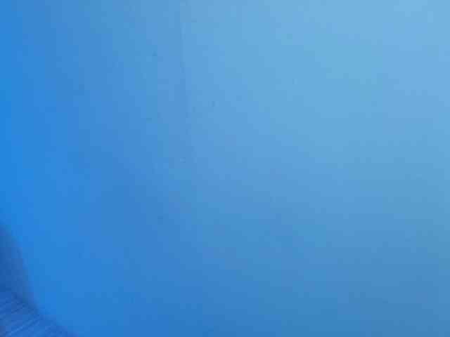 zoe-jonexs webcam