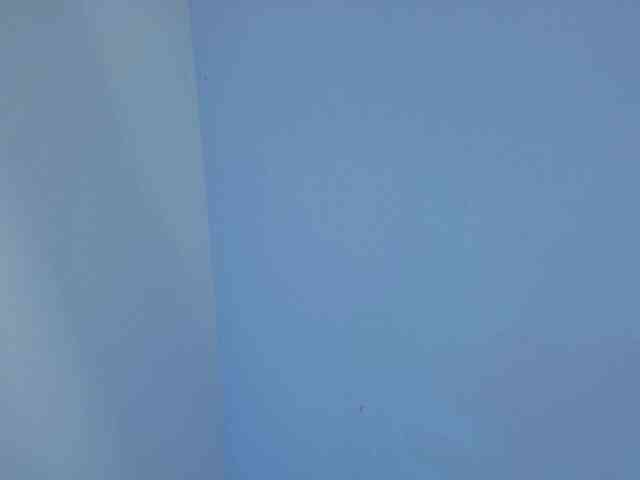 zoe-jonexs webcam