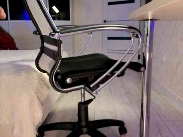 Strawberries_ webcam