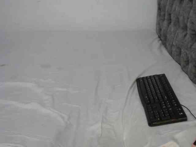 LittleMisscharming webcam