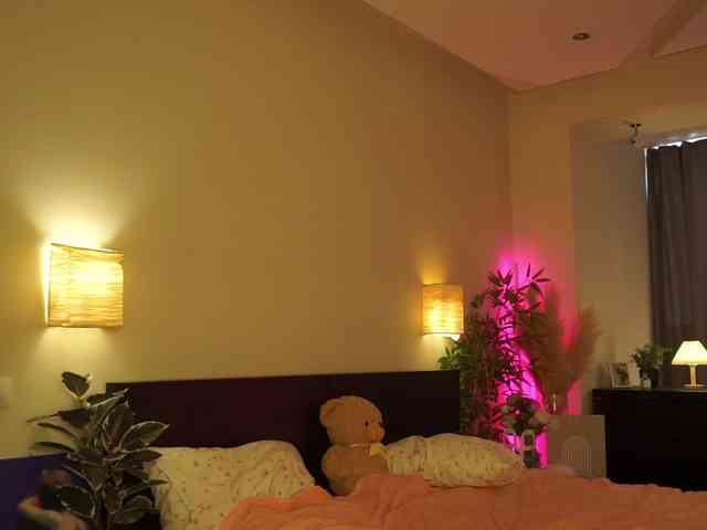EvaXhorny webcam