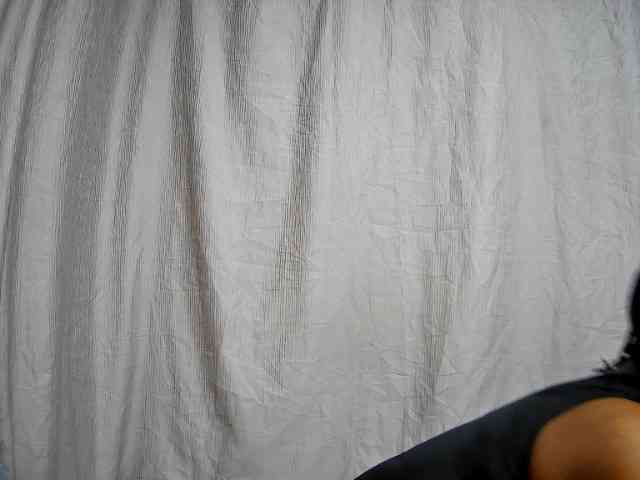 sweet-bunny12 webcam