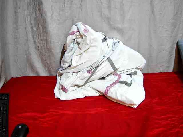 sweet-bunny12 webcam