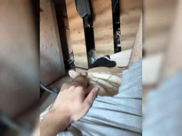 Shilboy
