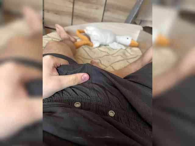 Shilboy Shilboy