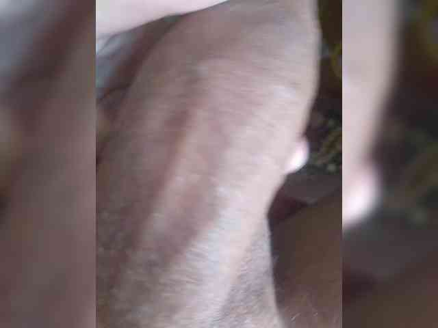 sexhouse7779