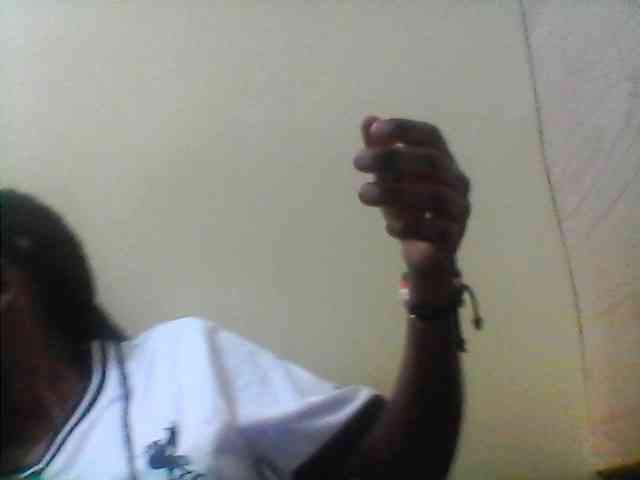 Bebgall2023 webcam