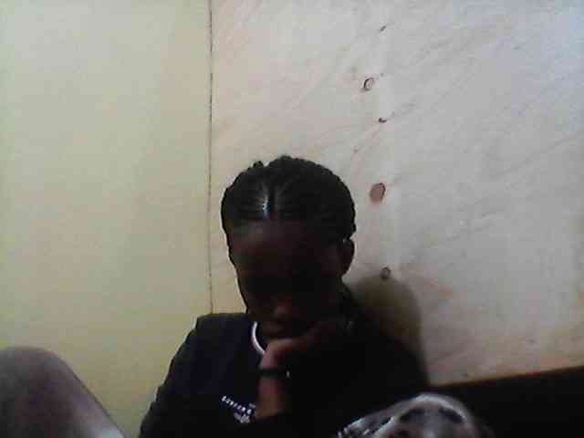 Bebgall2023 webcam