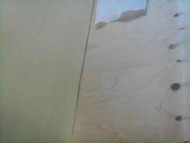 Bebgall2023 webcam