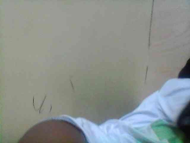 Bebgall2023 webcam