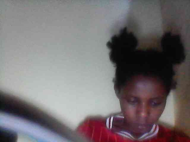Bebgall2023 webcam