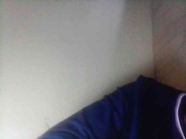 Bebgall2023 webcam