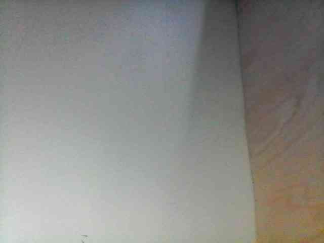 Bebgall2023 webcam