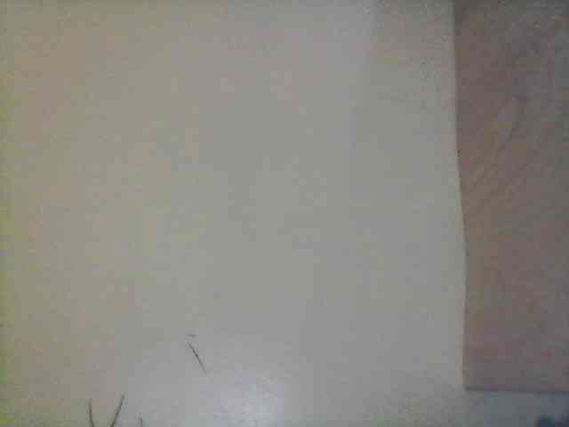 Bebgall2023 webcam