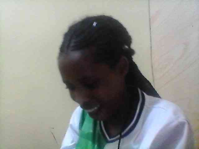 Bebgall2023 webcam