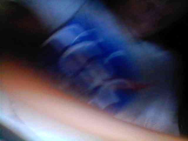 Bebgall2023 webcam