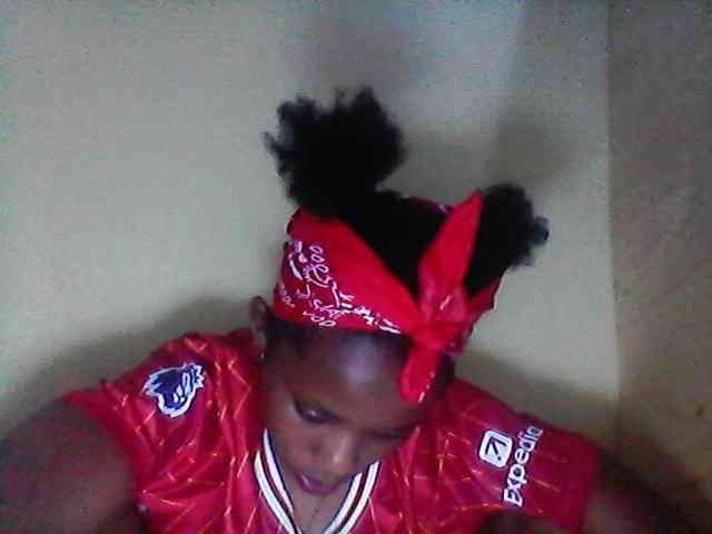 Bebgall2023 webcam