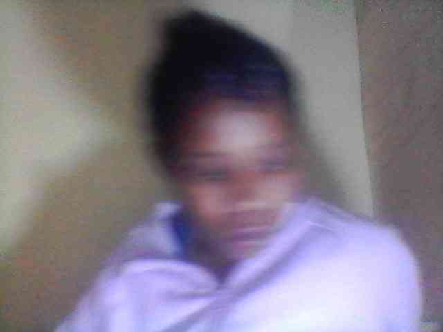 Bebgall2023 webcam