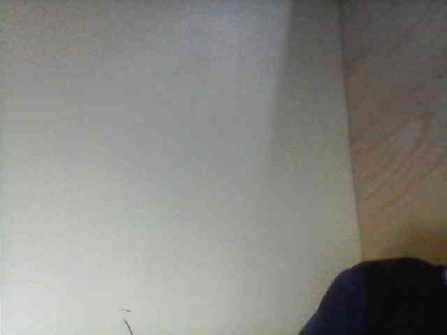 Bebgall2023 webcam