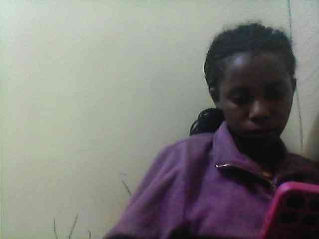 Bebgall2023 webcam