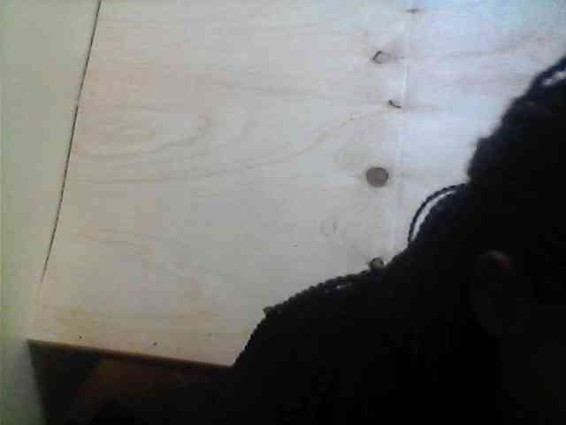 Bebgall2023 webcam