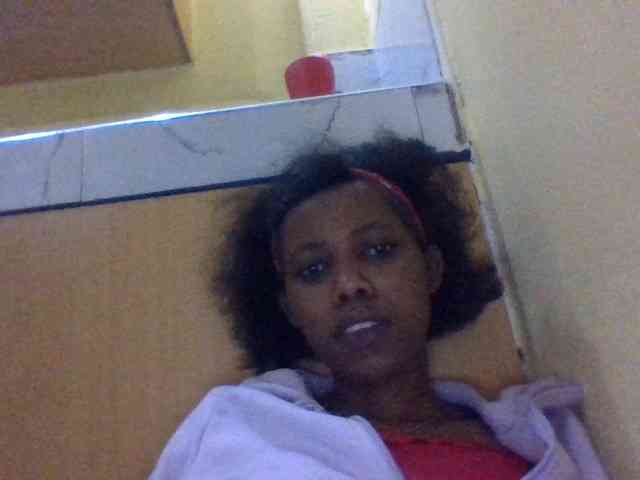 Bebgall2023 webcam