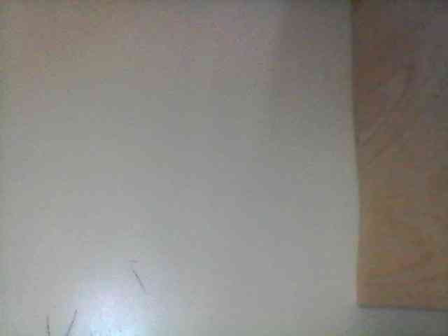 Bebgall2023 webcam