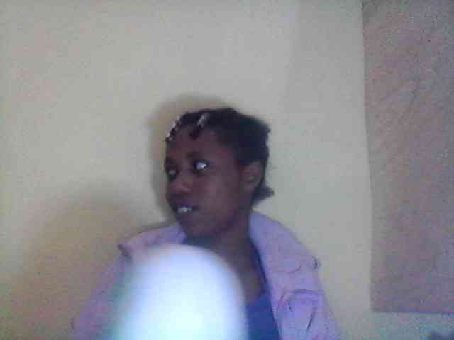 Bebgall2023 webcam