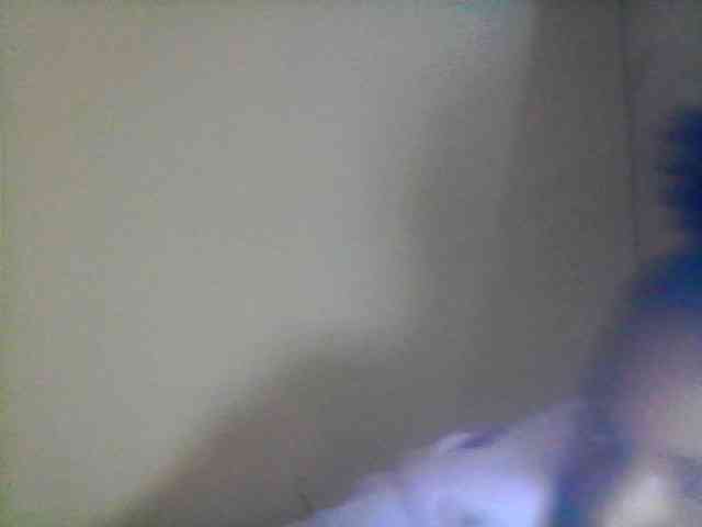 Bebgall2023 webcam