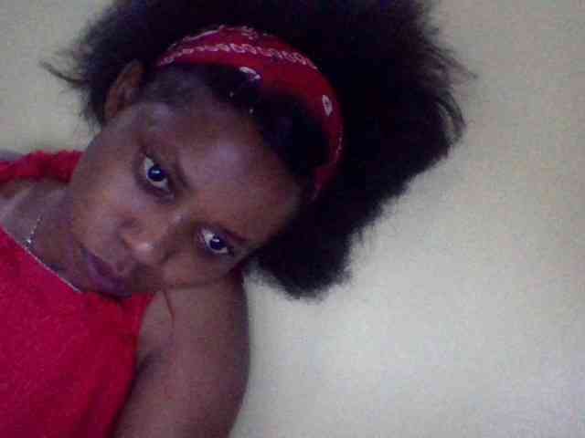 Bebgall2023 webcam
