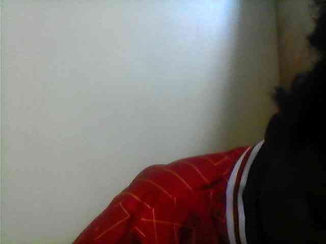Bebgall2023 webcam