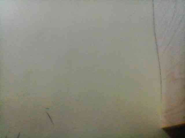 Bebgall2023 webcam