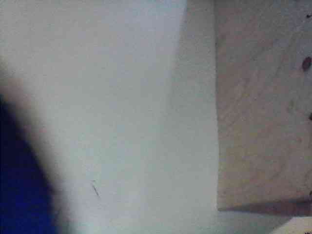 Bebgall2023 webcam