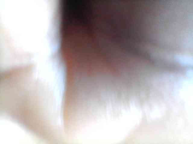 Bebgall2023 webcam