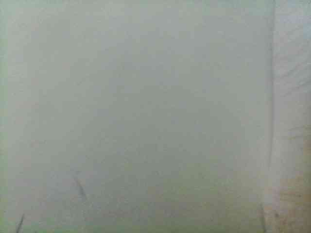Bebgall2023 webcam