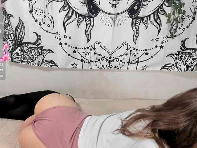 sweetbasil webcam