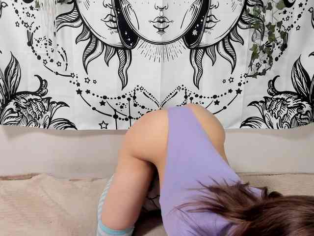 sweetbasil webcam