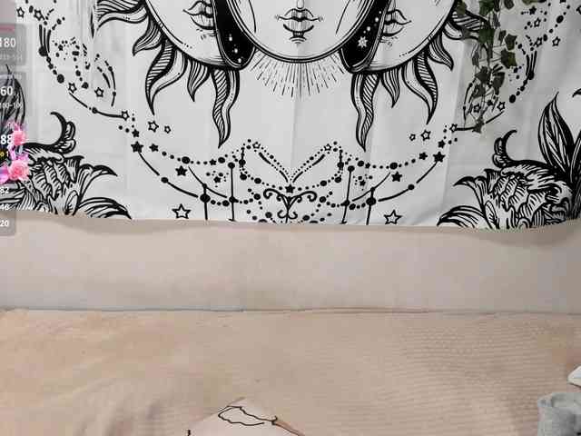sweetbasil webcam