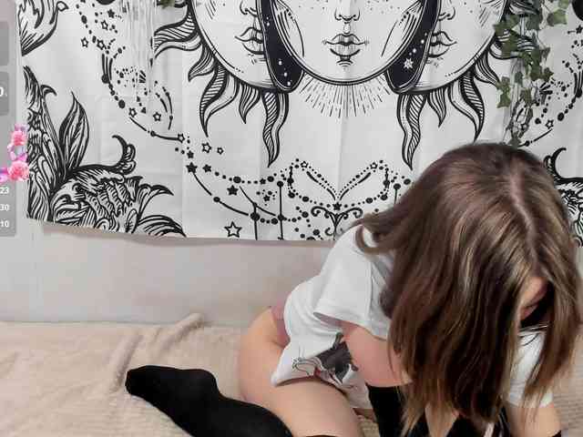 sweetbasil webcam