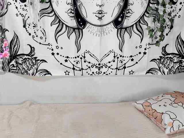 sweetbasil webcam