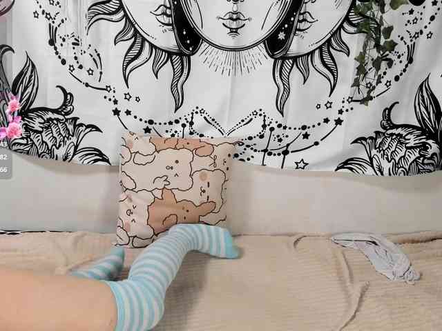sweetbasil webcam