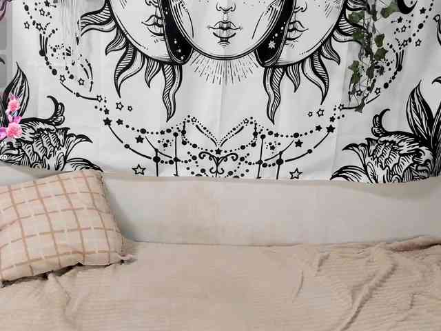 sweetbasil webcam