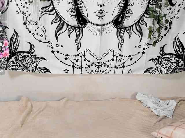sweetbasil webcam