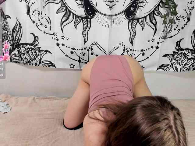 sweetbasil webcam