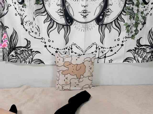 sweetbasil webcam