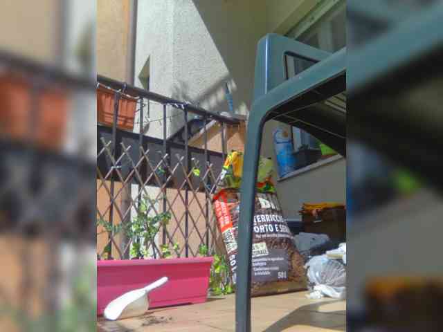 Dark-Angel-22 webcam